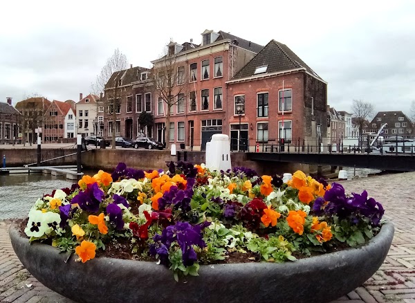 Dordrecht 5