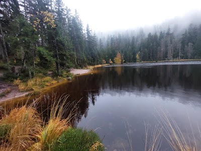 Nationalpark Schwarzwald