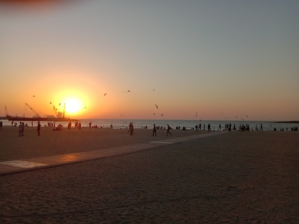 Jumeirah Beach Park 4