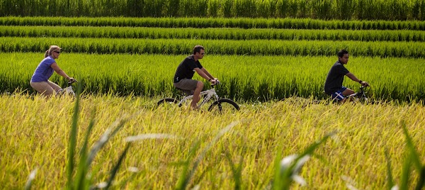 Bali Rural Commune 1