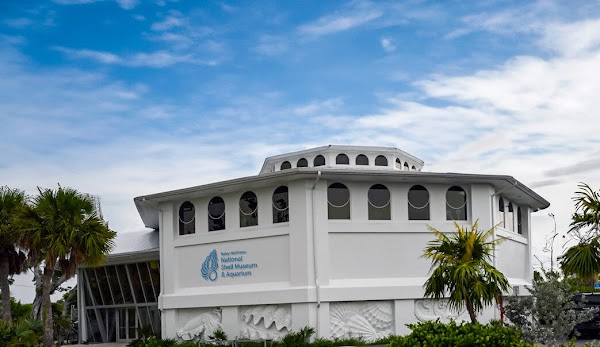 Bailey-Matthews National Shell Museum & Aquarium 1