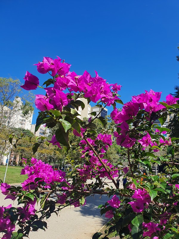 Aterro do Flamengo 3