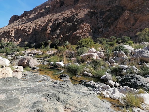 Wadi Tiwi 1