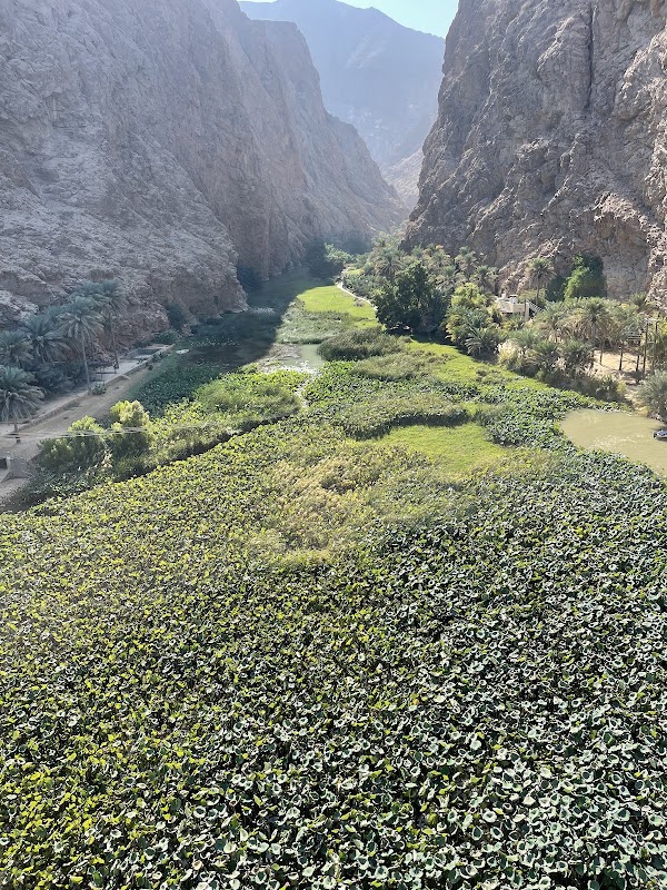 Wadi Tiwi 4