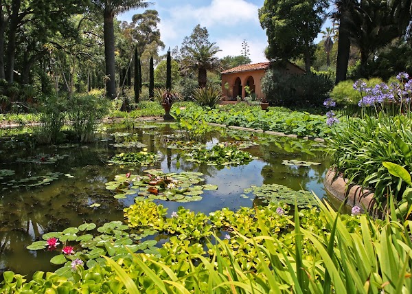 Lotusland 3