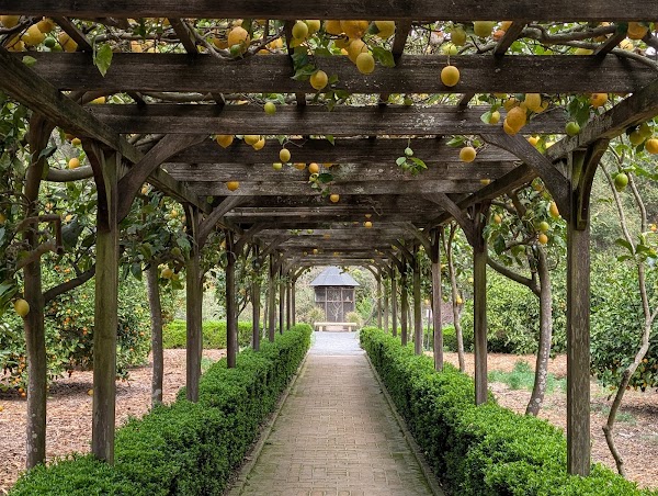 Lotusland 2