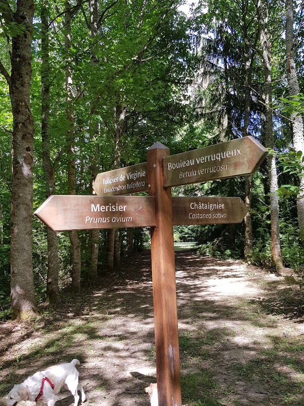 Arboretum des Bordins 1