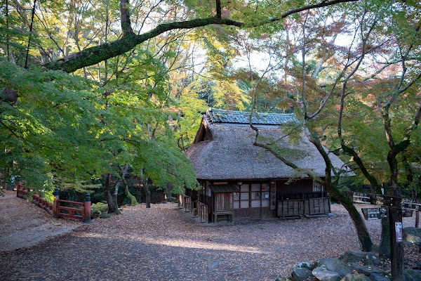 Mizuya Chaya 3