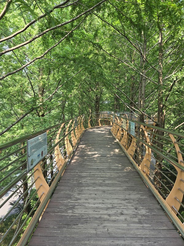 Jangtaesan Recreational Forest Skytower