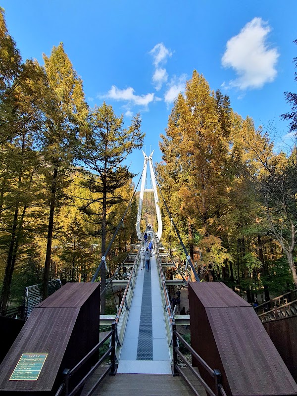 Jangtaesan Recreational Forest Skytower 5