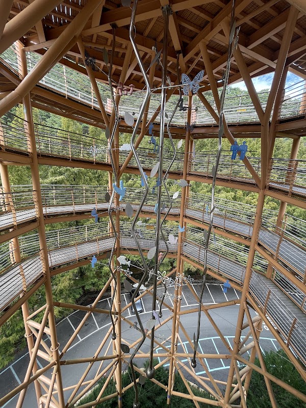 Jangtaesan Recreational Forest Skytower 4