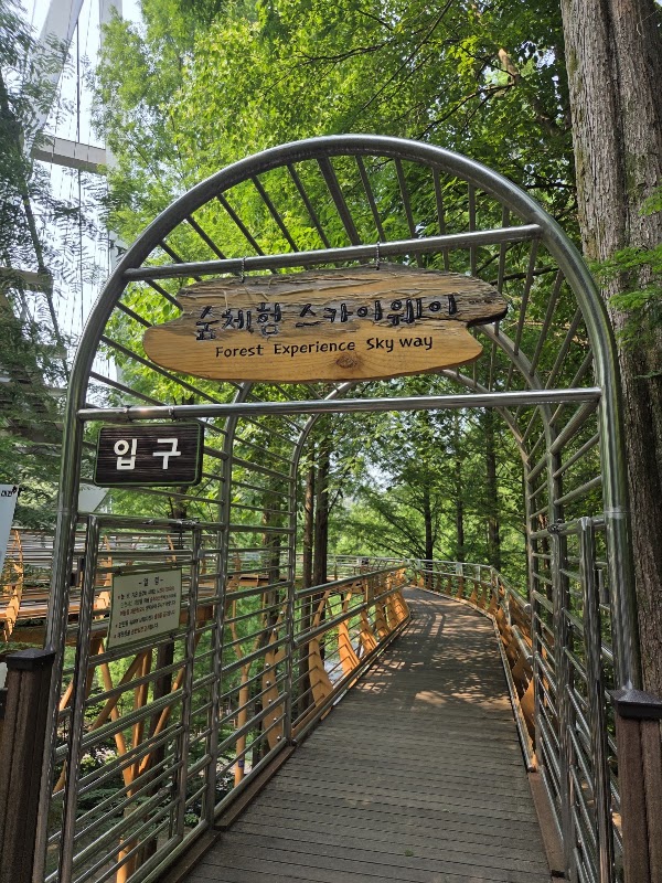 Jangtaesan Recreational Forest Skytower 3