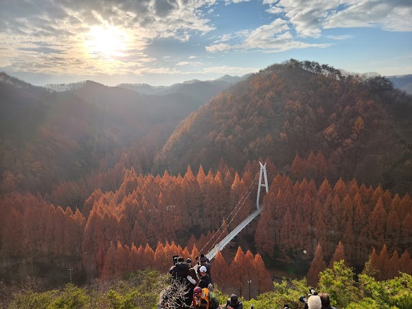 Jangtaesan Recreational Forest Skytower 2