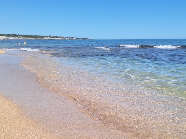 Agavi Beach 2