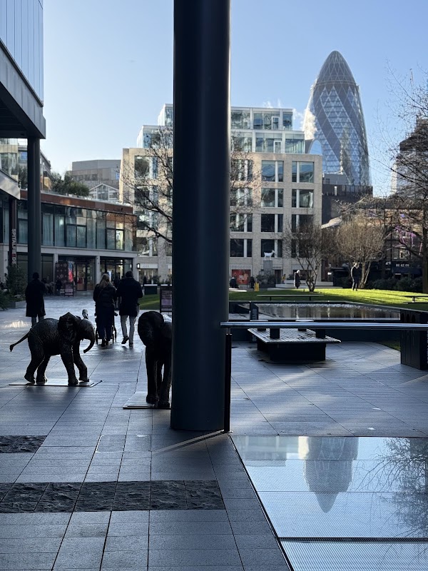 Spitalfields Koi Fish Pond 4
