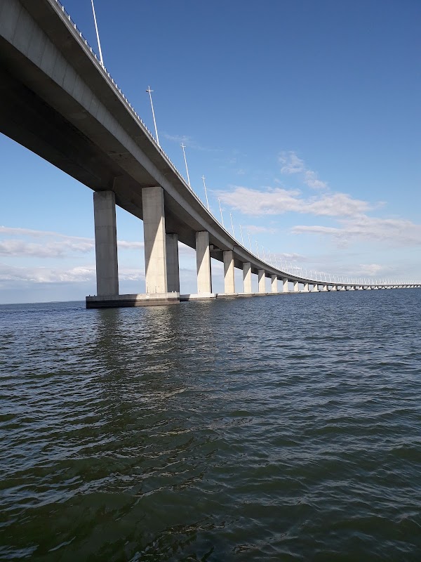 Vasco da Gama Bridge 4