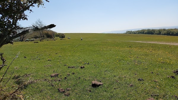South Downs Way
