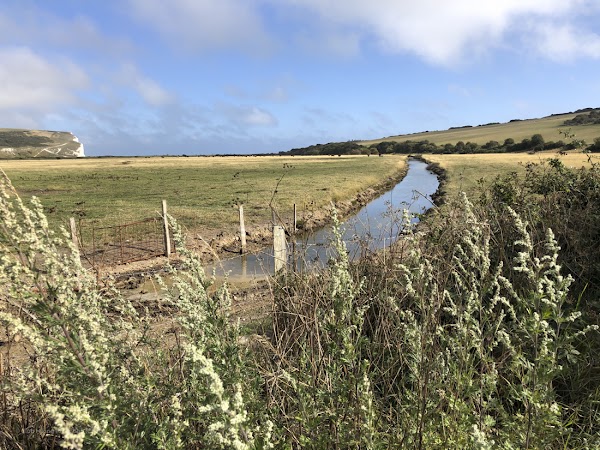 South Downs Way 4