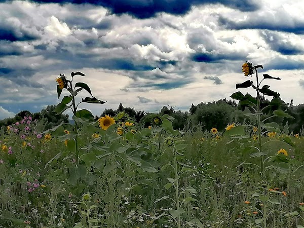 Weser Uplands 3