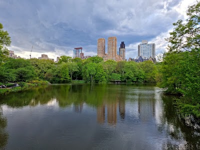 New York 9