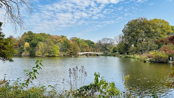 The Lake 5