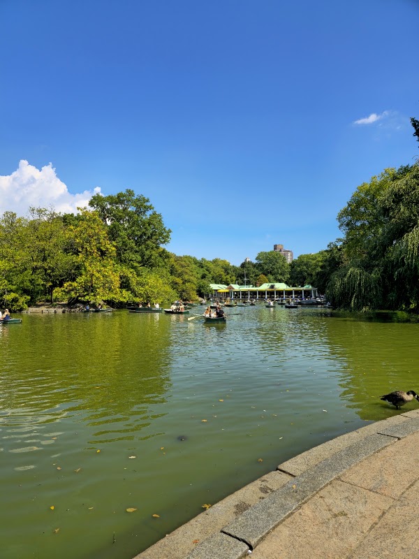 The Lake 4