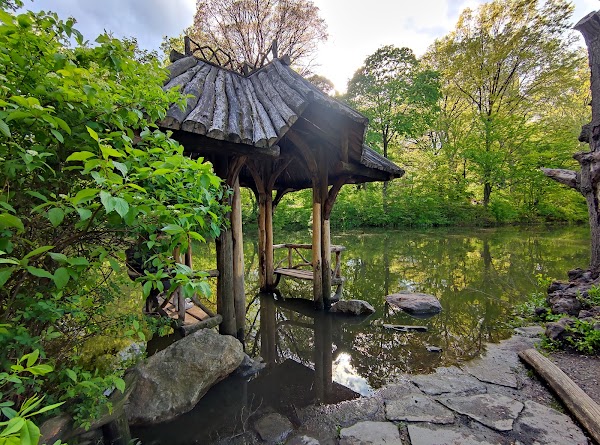 The Lake 3