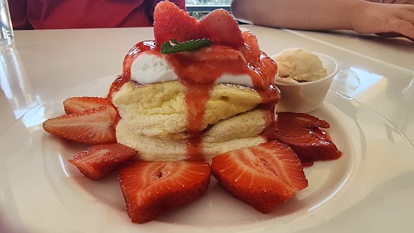 Fluffy Fluffy Cafe - Orlando 4