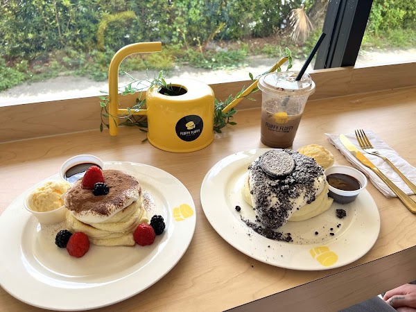 Fluffy Fluffy Cafe - Orlando 2
