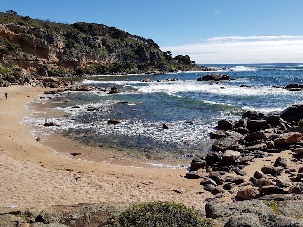 Shelley Cove