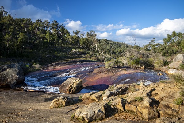 Berry Reserve