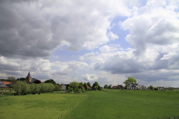 Bommelerwaard 3