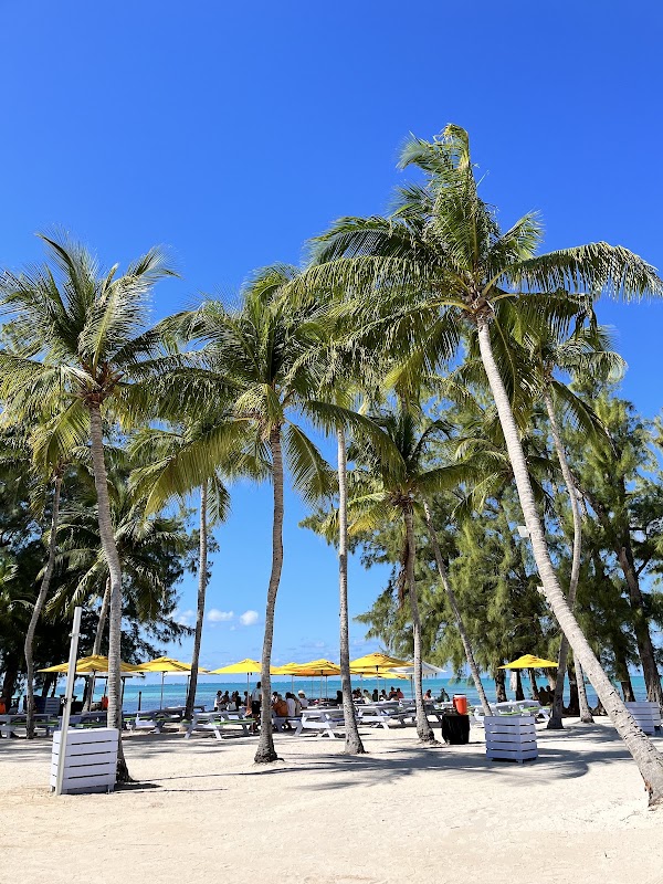 Rum Point 2