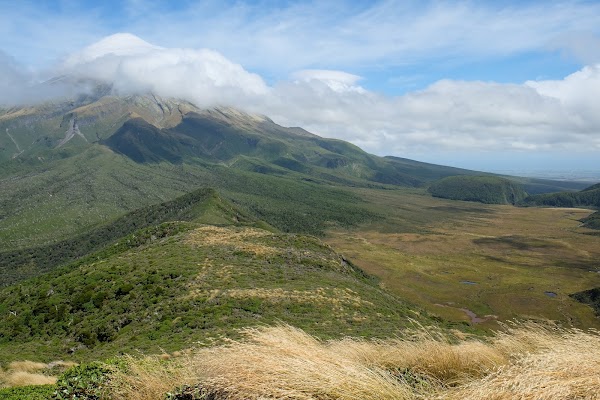 Pouakai Hut 2
