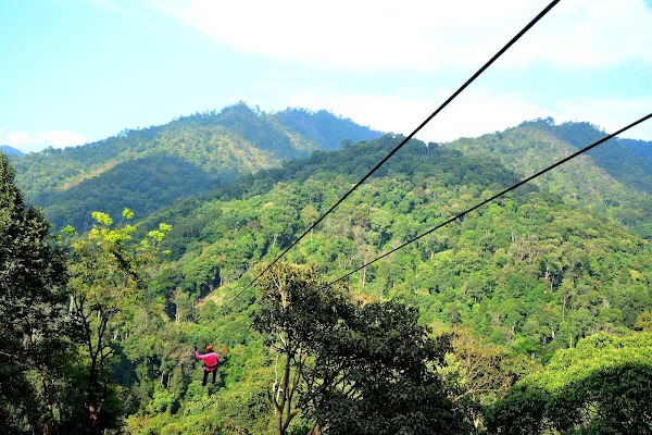 Kingkong Smile Zipline