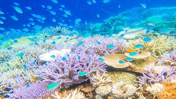 Yabiji Marine Park 1