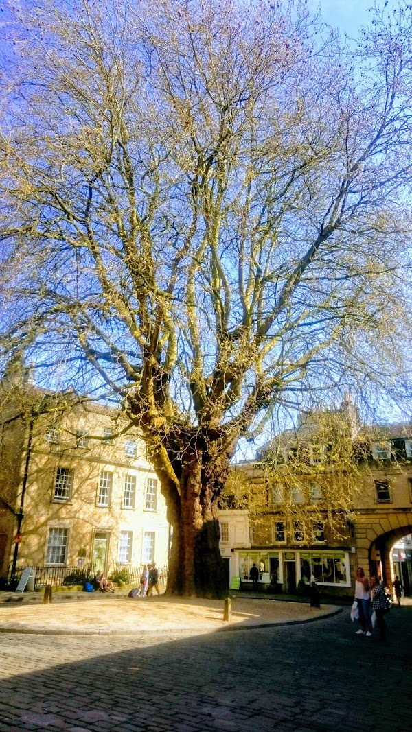 Abbey Green 3