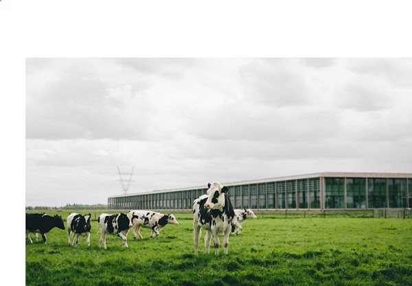 Beemster FoodService