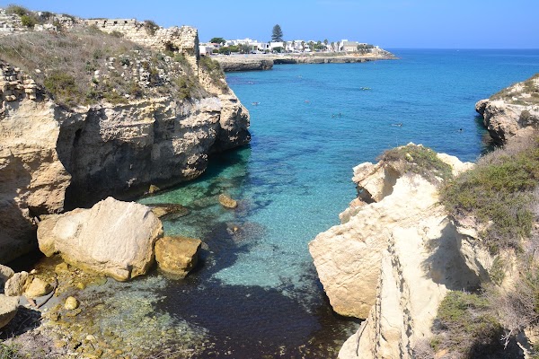 Nfoca Ciucci Bay 1
