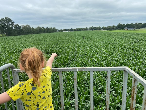 Groot Sallands Maisdoolhof 2