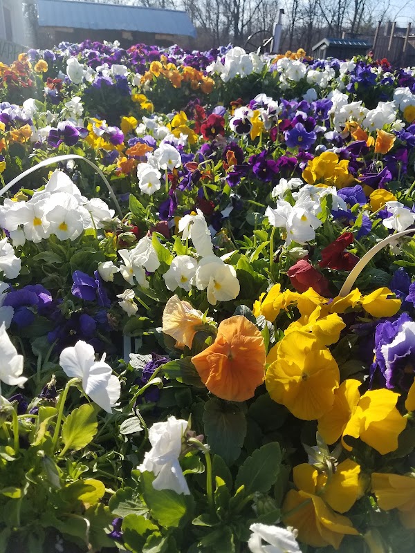 Maple Acres Farm Market 5
