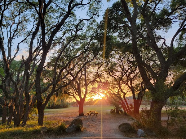 Fred Howard Park 3