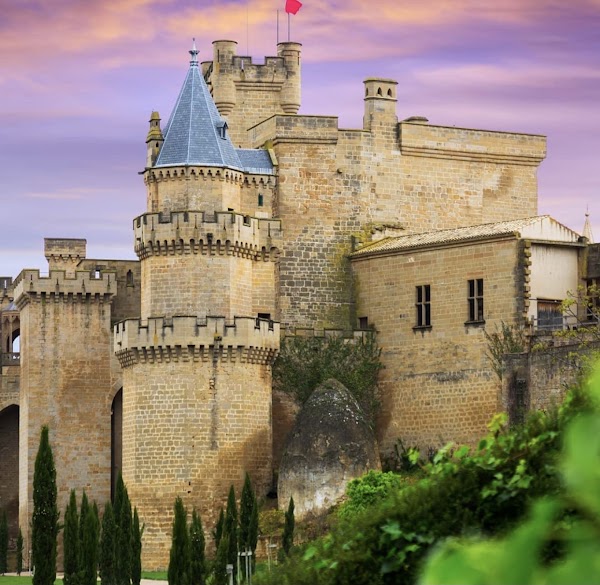 Royal Palace of Olite 4