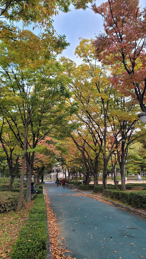 Seongbukcheon Stream Fountain Plaza 2