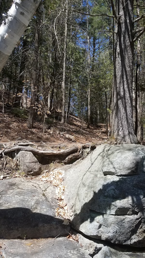 Blue Ridge Falls 2