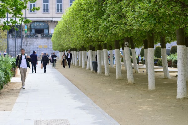 Mont des Arts 4