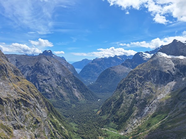 Gertrude Saddle 1