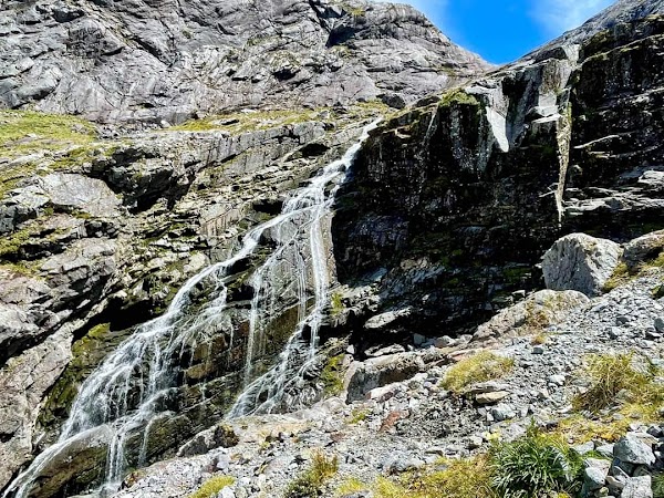 Gertrude Saddle 4
