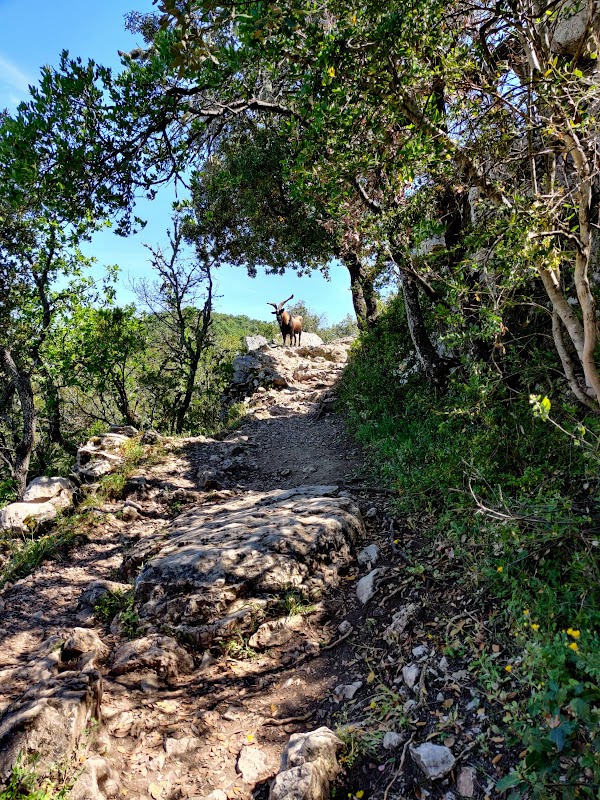 Promenade des Basses Gorges du Verdon - Quinson 3