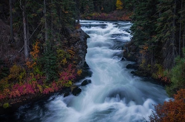 Benham Falls 1